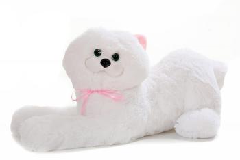 Кошка лежит 0093
