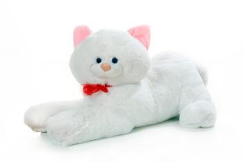 Кошка лежит большая 0094